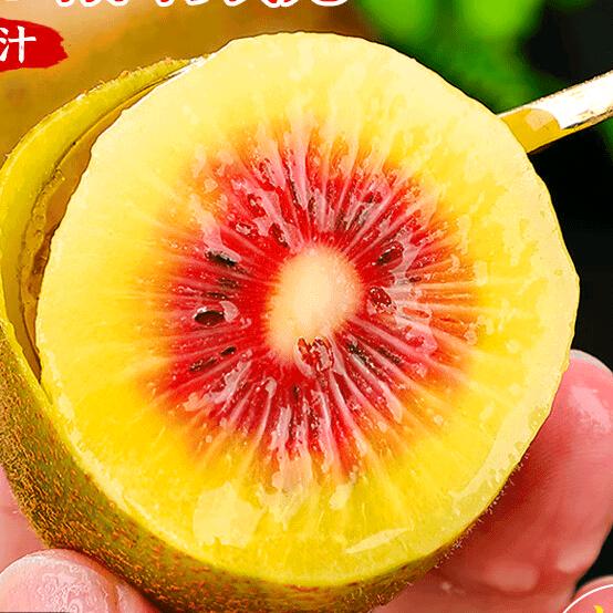 悯农臻品优选果园