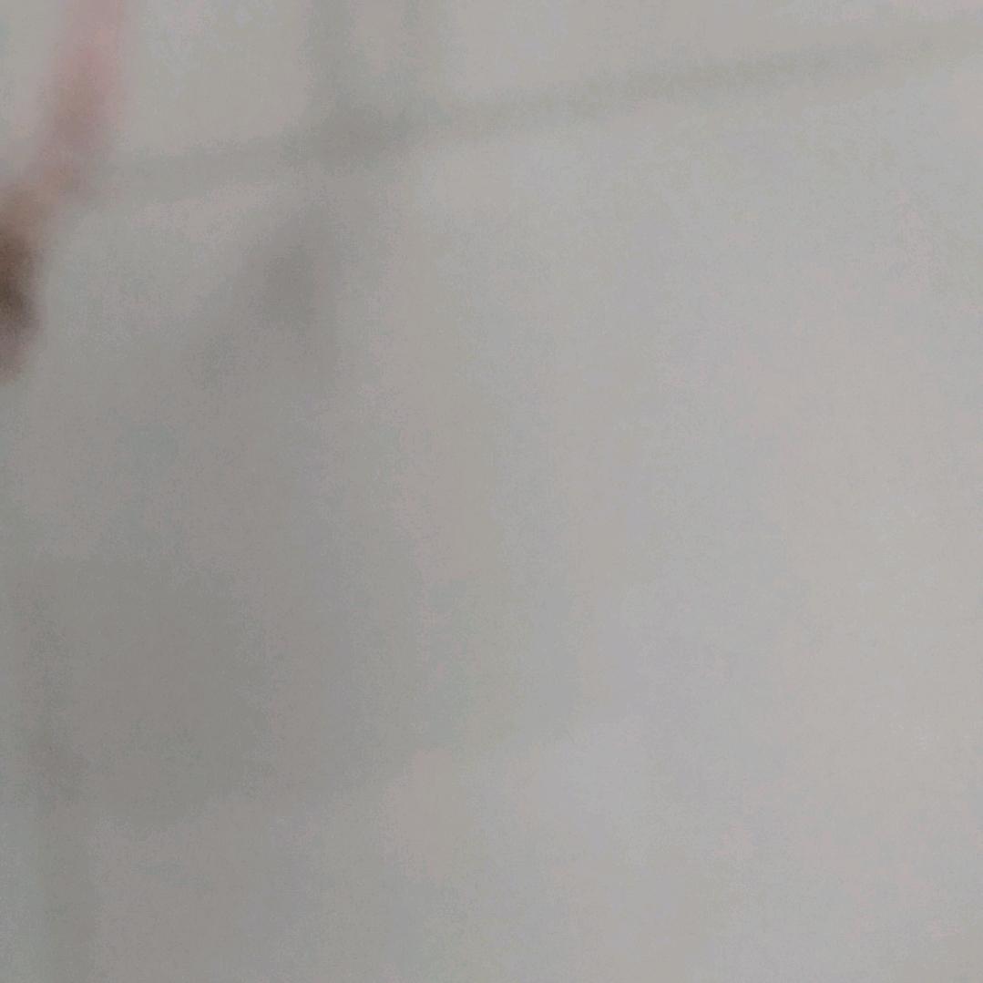 风华依旧，笑春风👀