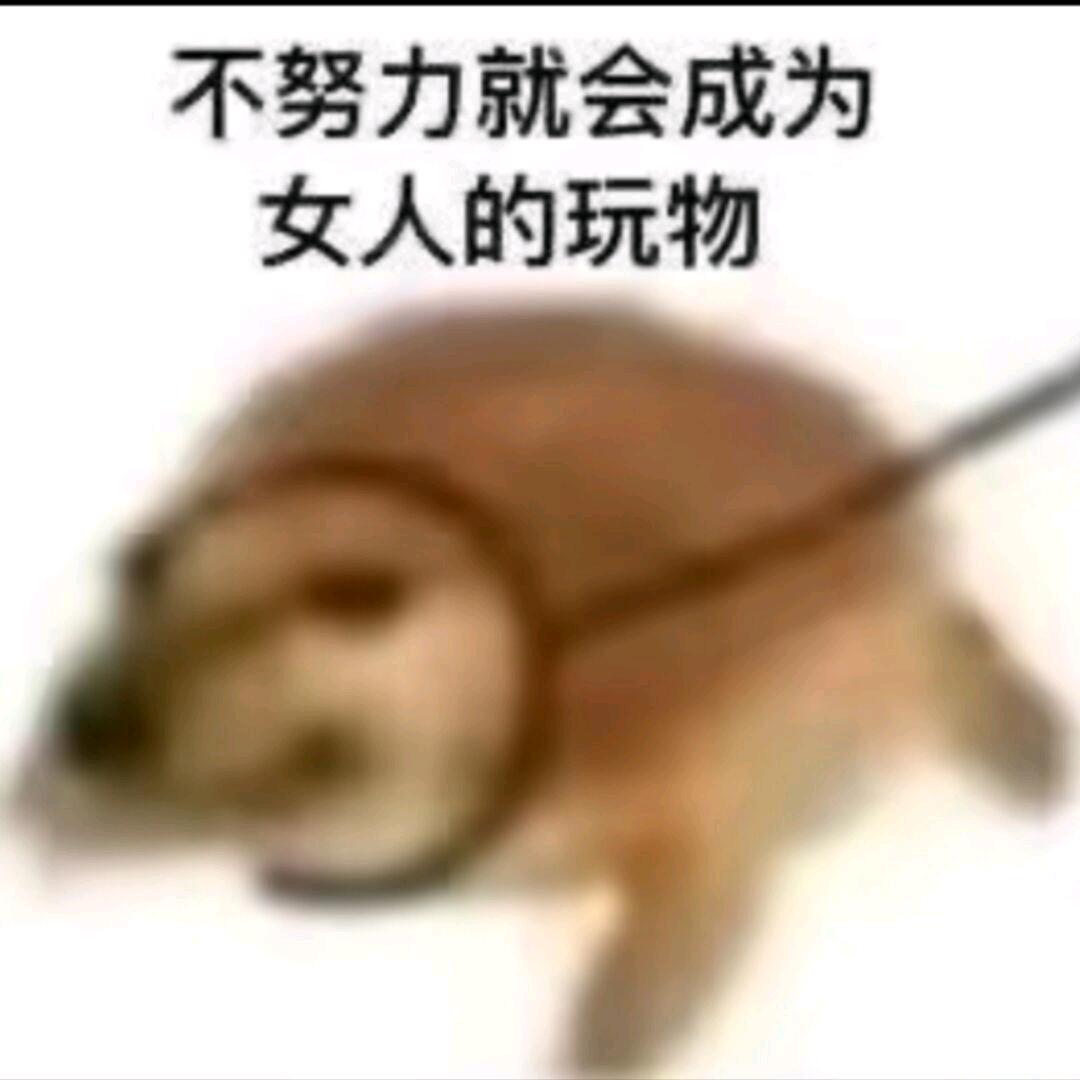 小心翼翼的农村人