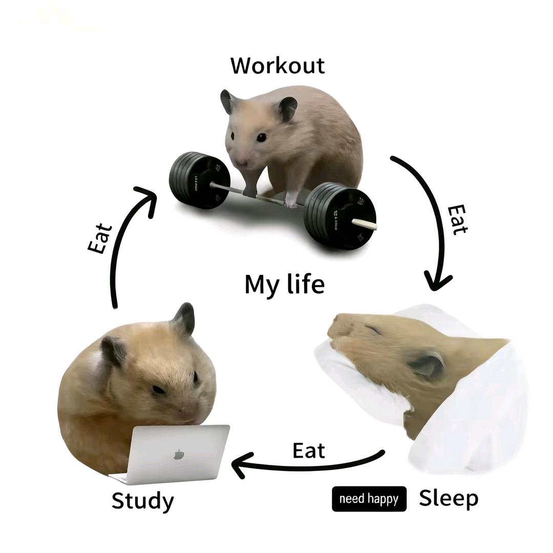 亿颦一笑🕊️🇵🇸