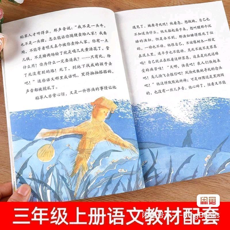 飞飞丹