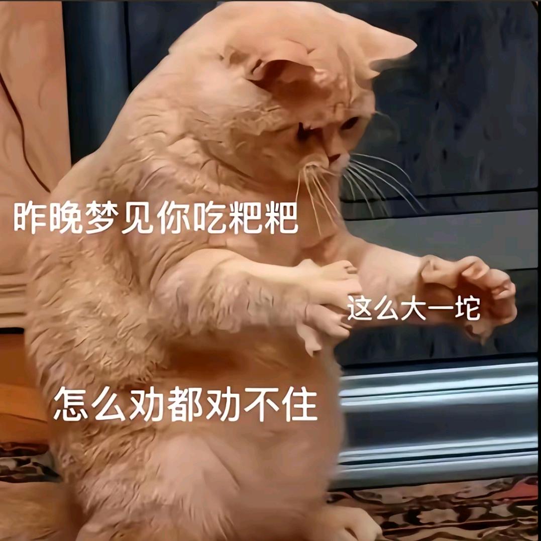 阿毛