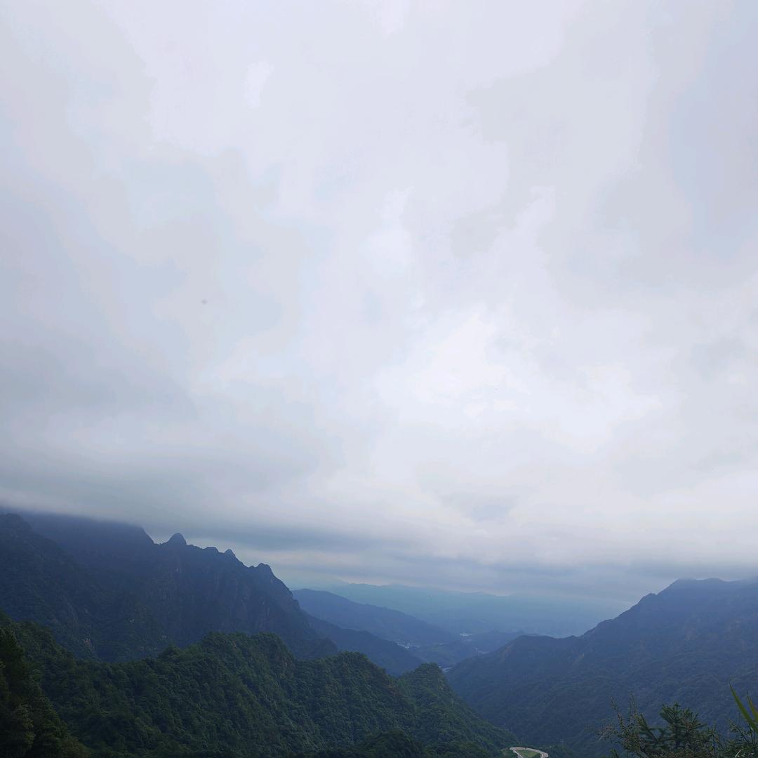 柠萌↘不酸