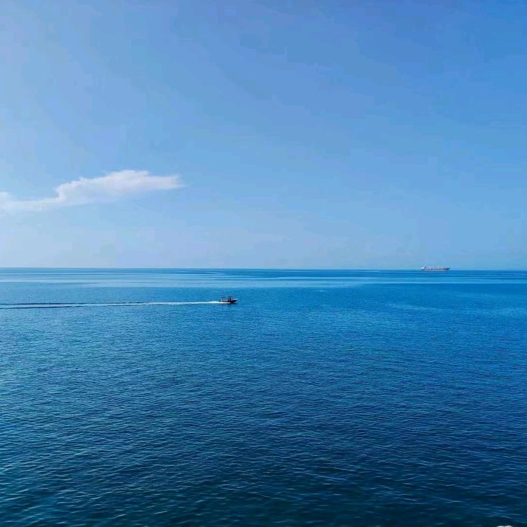 南瓜馒头