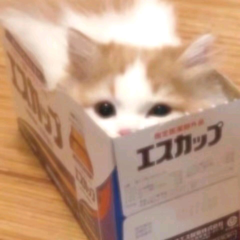 痘痘