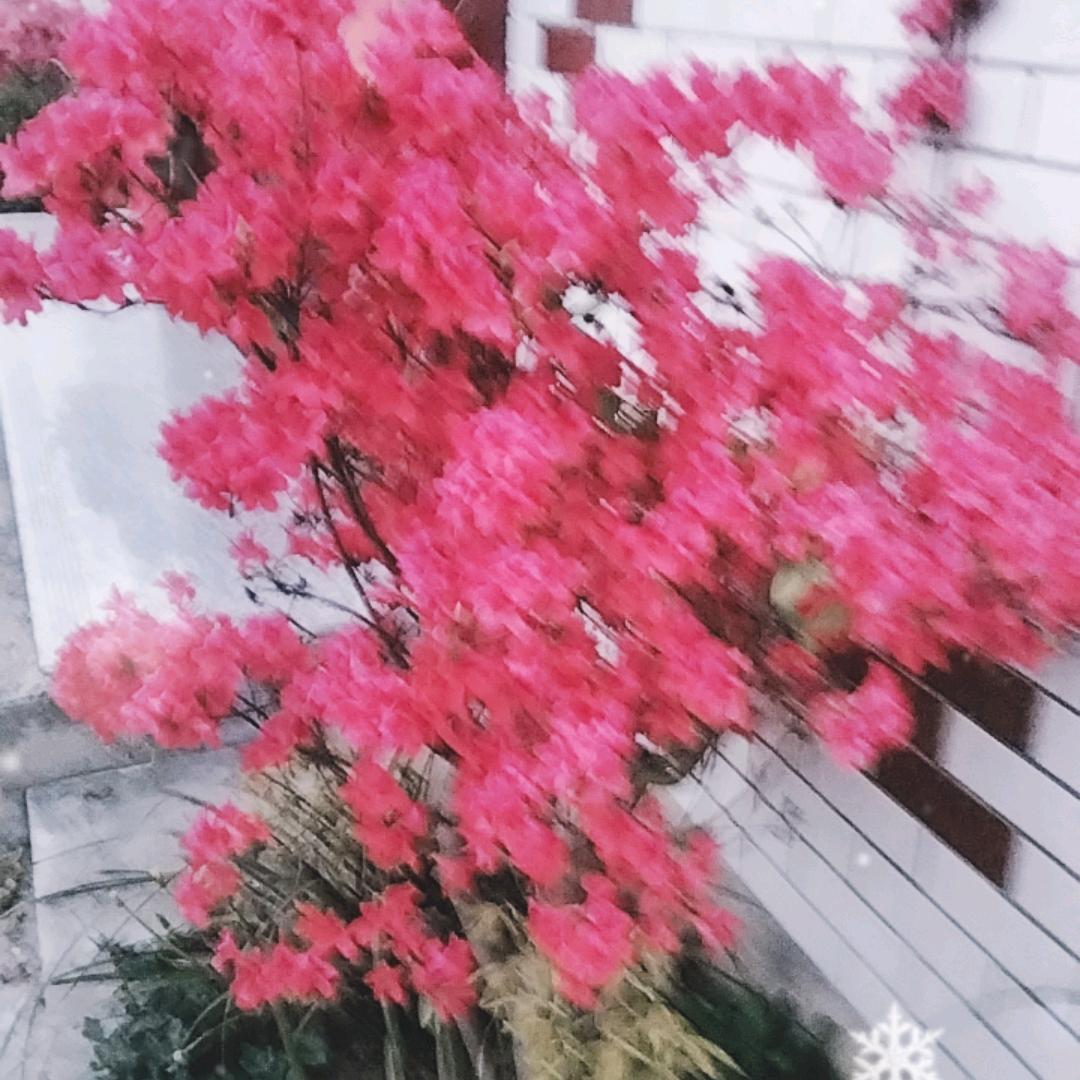 1314、爱你