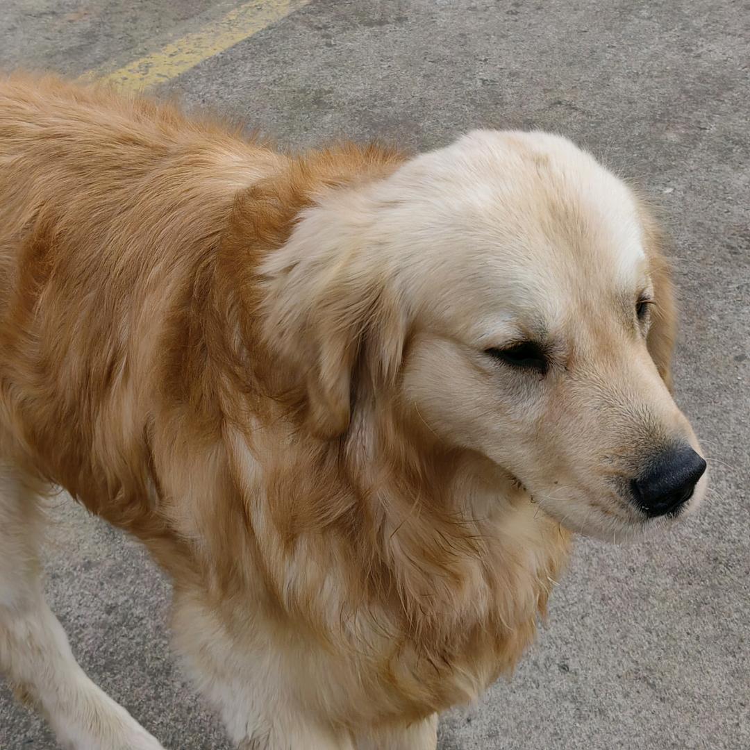 红姐