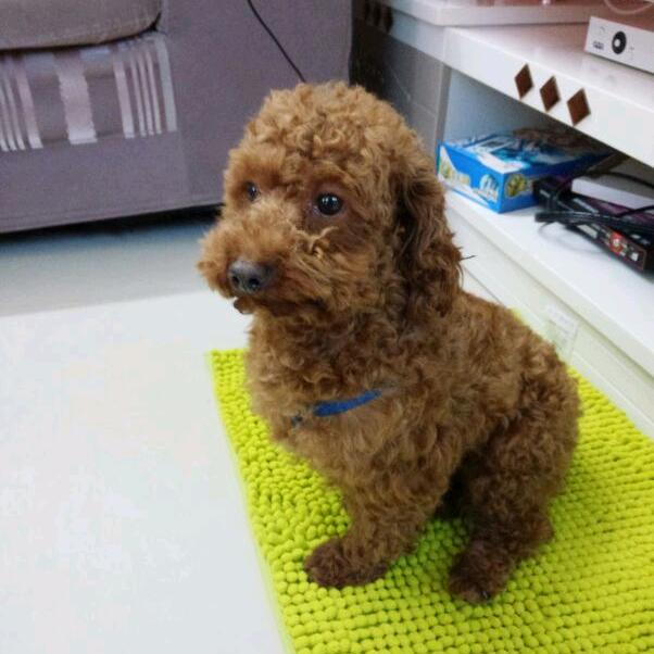永远是个传说