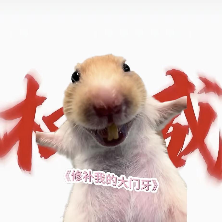 爱吃垃圾的鼠（三角洲跑刀）