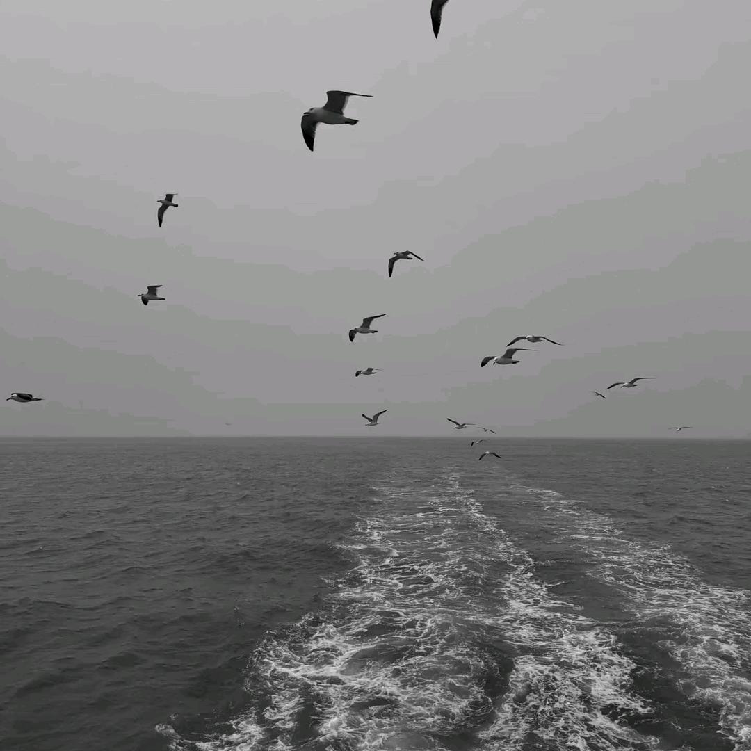 🌍～
