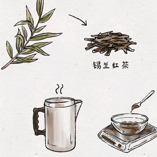 三哥