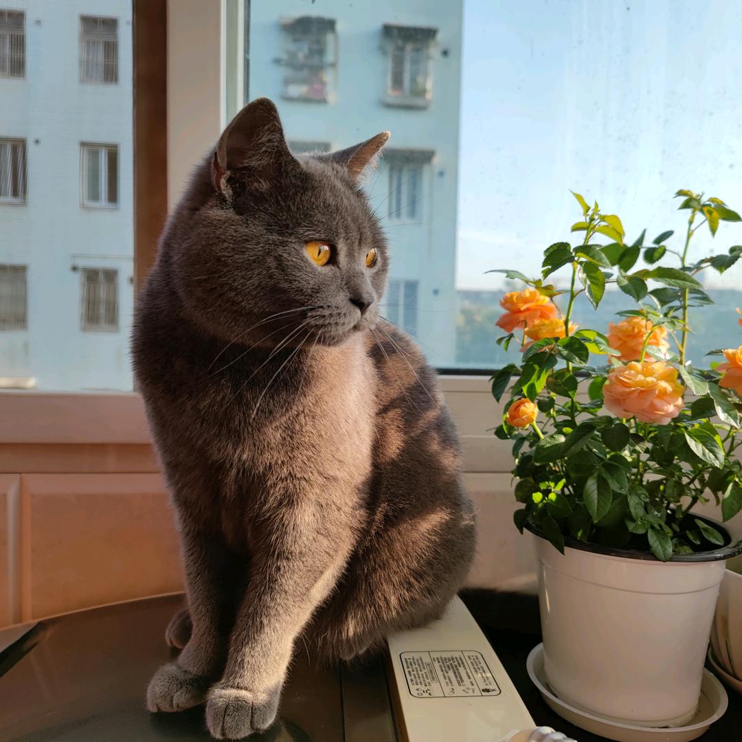 最简攻略