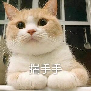 随便