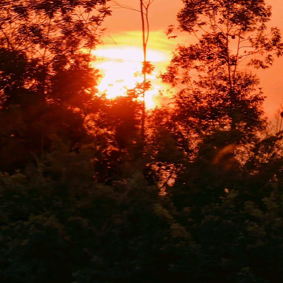 人生如戏，全靠演技