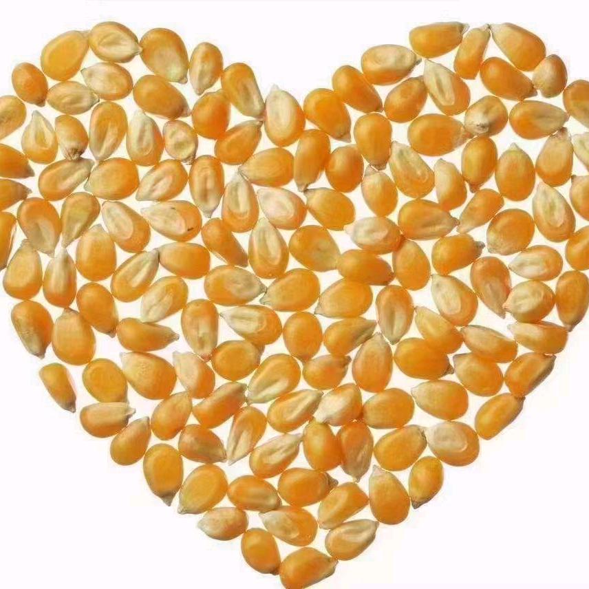 玲子(粮食购销)