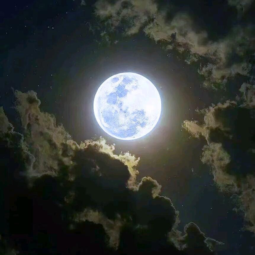 赛