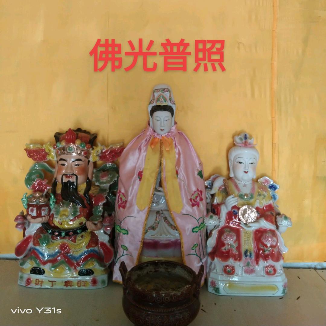 【禅归🪷雨意】