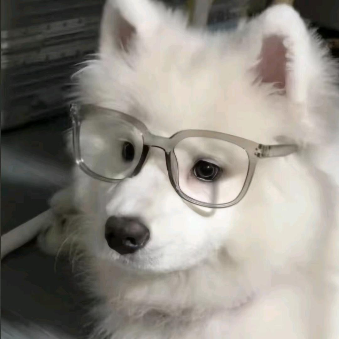 过分