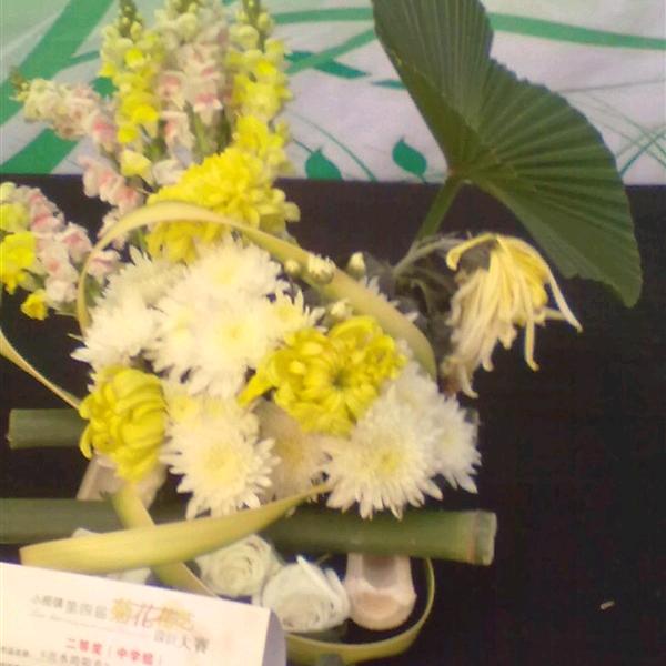 怀念过往