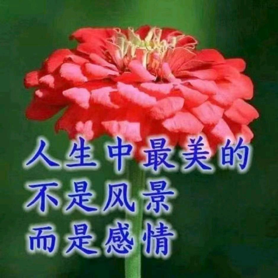 顾是李想