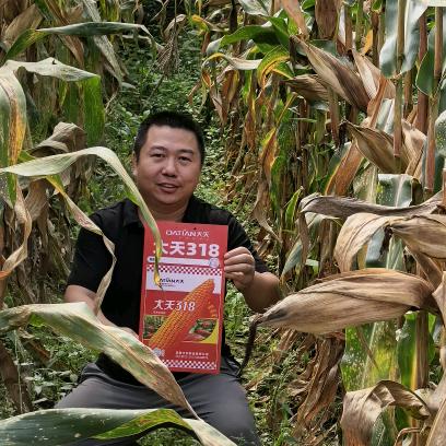 宜昌三贵种业艾勋