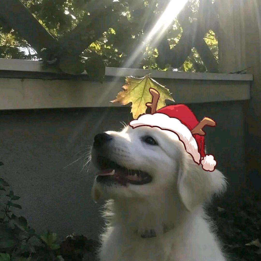 小鱼✨