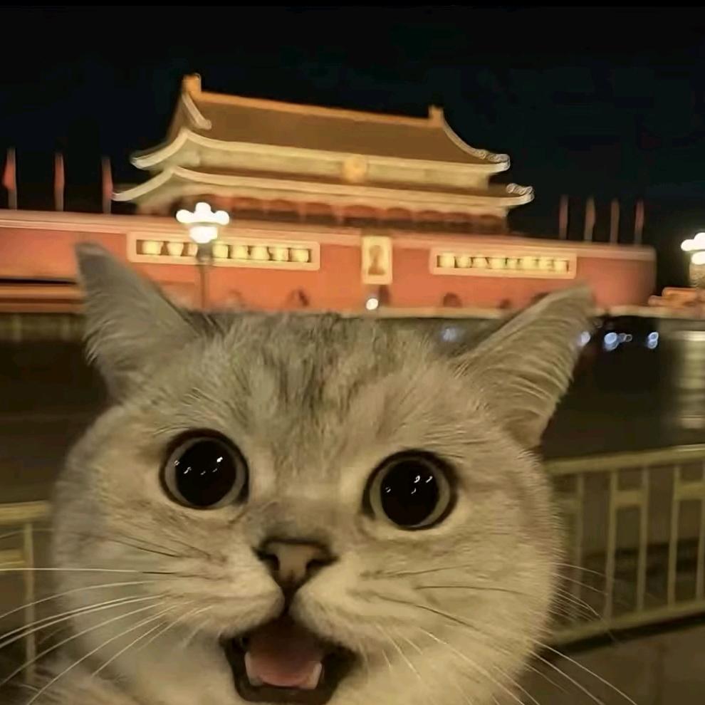 么凹猫