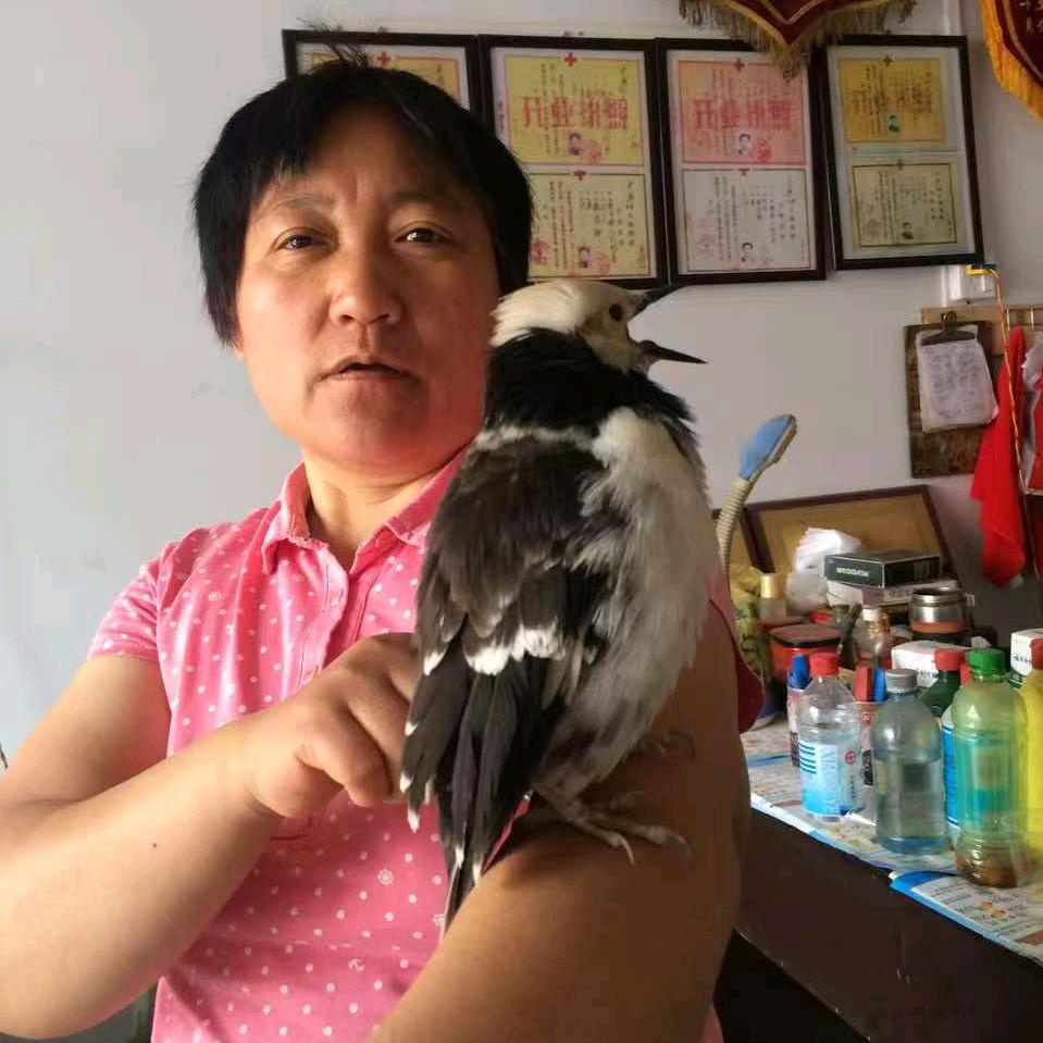 龙梅2231914535