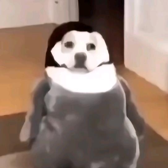 企鹅狗