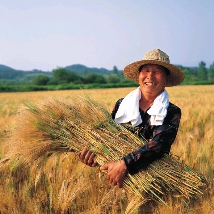 风调雨顺，五谷丰登