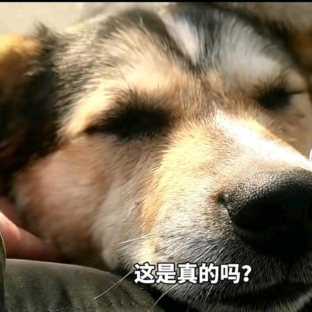 翩翩燕尾服