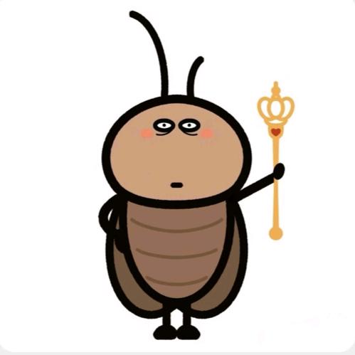 城中村的大蟑螂