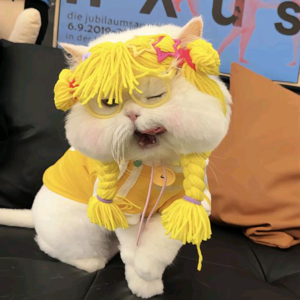 云边的南（接立体书）