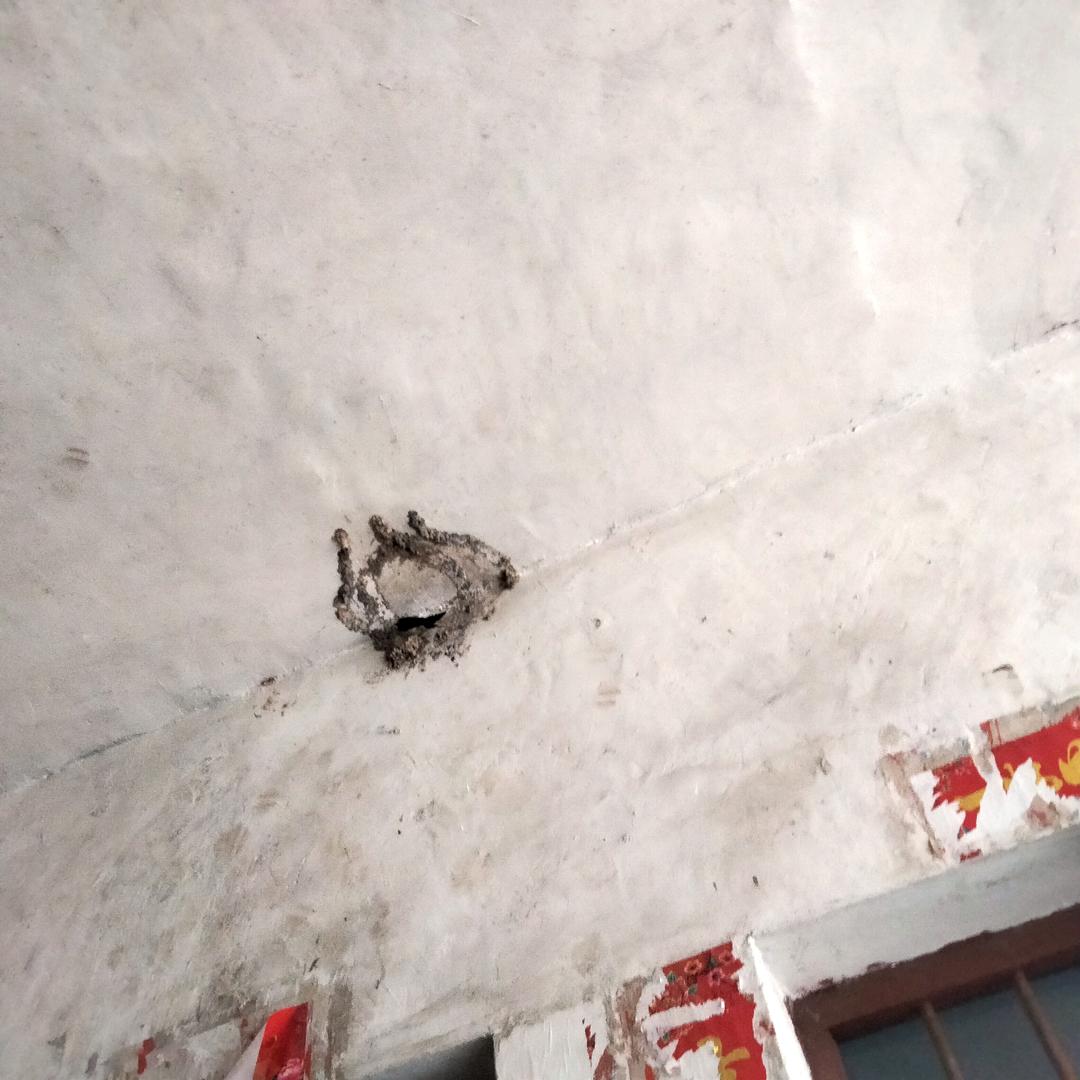劫后余生