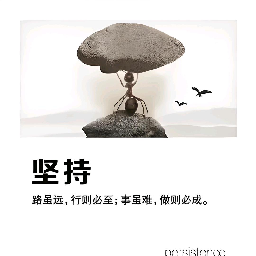 新程追梦人🦅