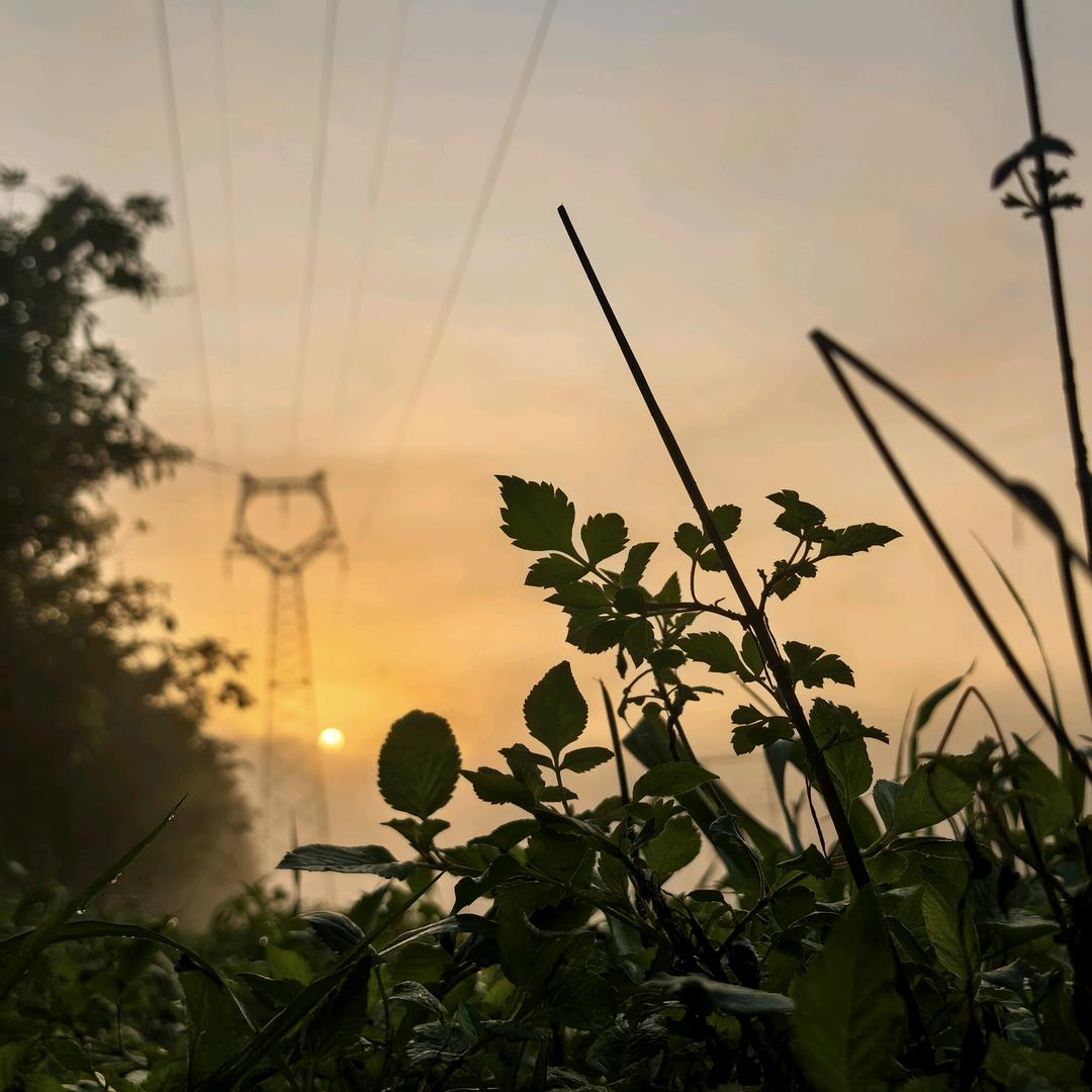 DMC🎤艾文的日常