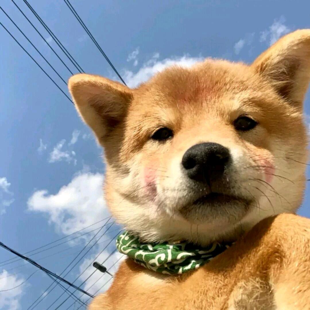 娃哈哈🍼