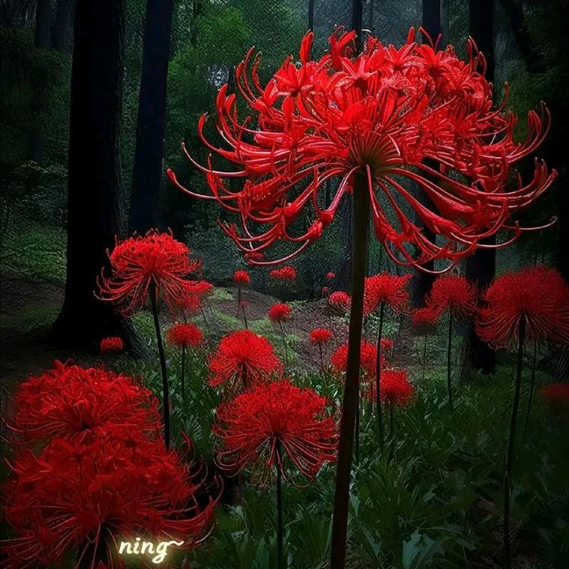 时来◔.̮◔✧运转