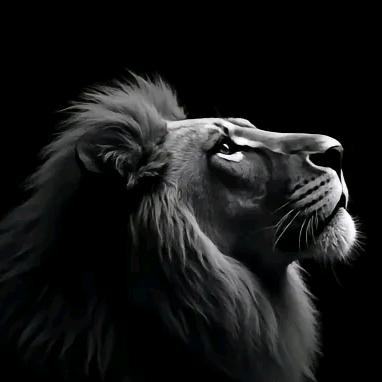 好名字可以让你的朋友更容易记住你