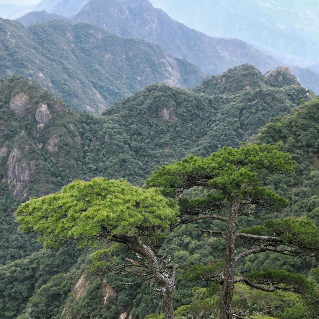难找真心朋友。单身