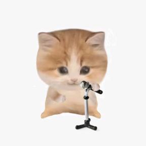 爱唱歌的螺蛳粉