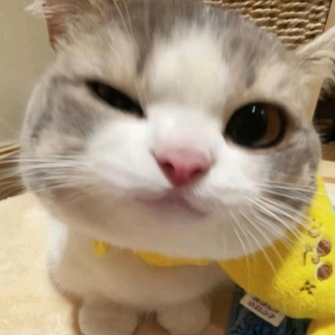 ⅨⅣⅨ