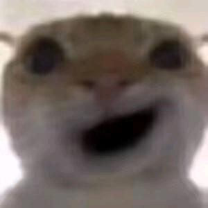 (●—●)......
