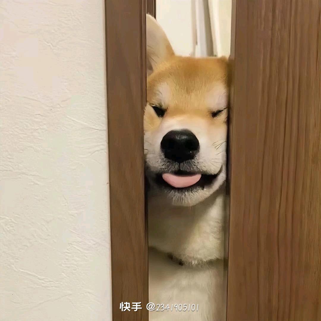@就是猖狂