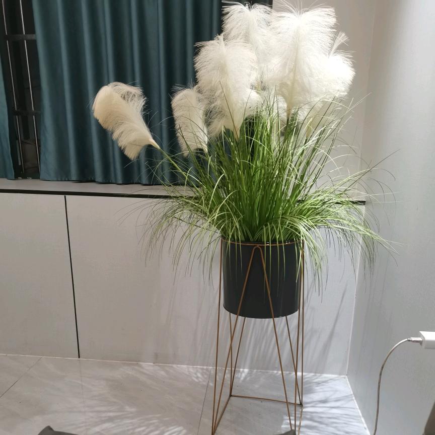 ꧁一生♥有你꧂