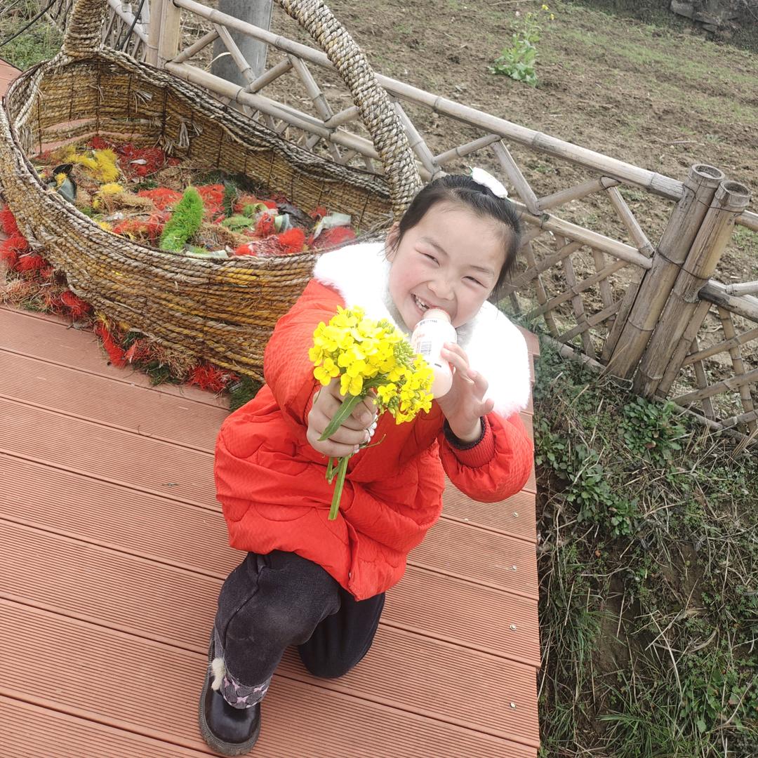 风吹半夏