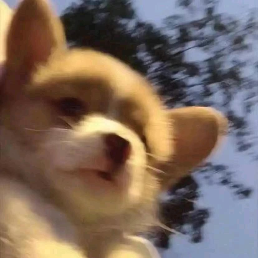 戏子