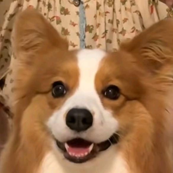 Archie.