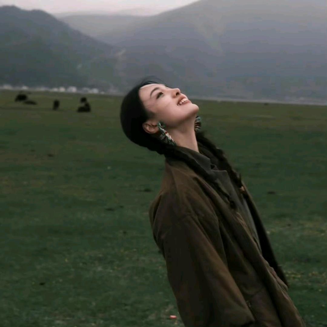美丽大呲花