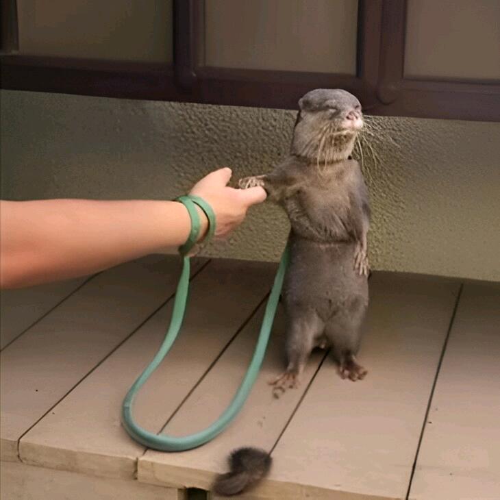 不会捏蓝（备考版）